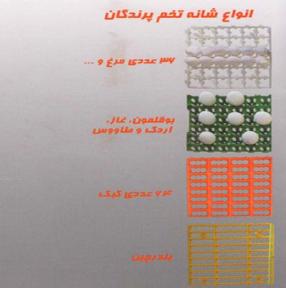 انواع شانه تخم پرندگان 